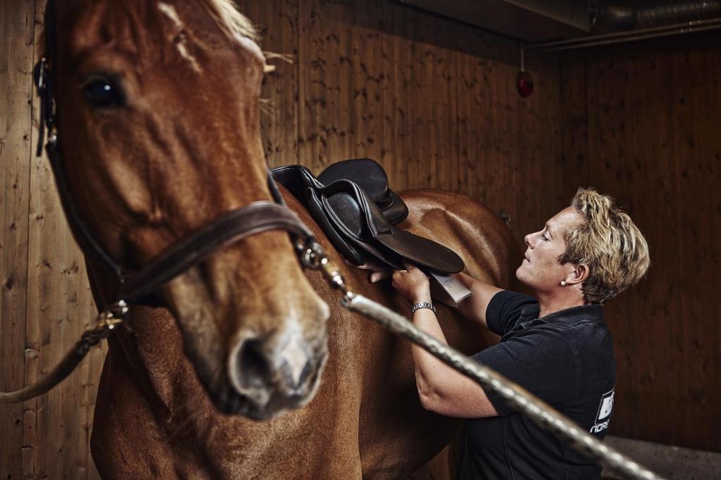Saltur til Bodø september 2019